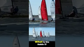 What is a Hobie 17 Catamaran