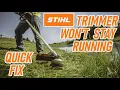 Stihl Trimmer Won t Stay Running not Idling Quick Fix