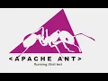 4 Apache Ant Running JUnit Test