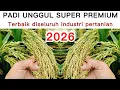 2026 SUPER PREMIUM Best Rice Variety in the Entire Agricultural Industry to Come