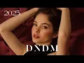 Download Lagu DNDM - We Fly (2025) Retro