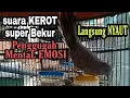 Download Lagu paling dicari suara perkutut lokal gacor ngerot Bekur gacor suara Besar ampuh PENGGUGAH MENTAL EMOSI