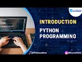 Master Python Basics Fast Python Programming Introduction for Beginners Flourish Field Academy