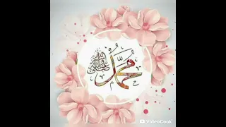 أنشودة بمدح حبيب الروح بدون موسيقى إنشاد أحمد حسن الأقصري 