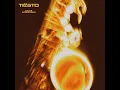 Echo Sax Finale - Tiësto & Caleb Arredondo