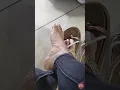 Victoria Latina Sandals Soles At Work 22 FULL