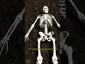 Download Lagu The Process of a Body Turning into Bones #science #facts #shorts #flyxo