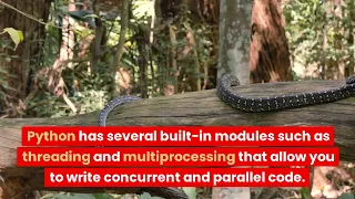 31 Python for beginners - Concurrency and Parallelism