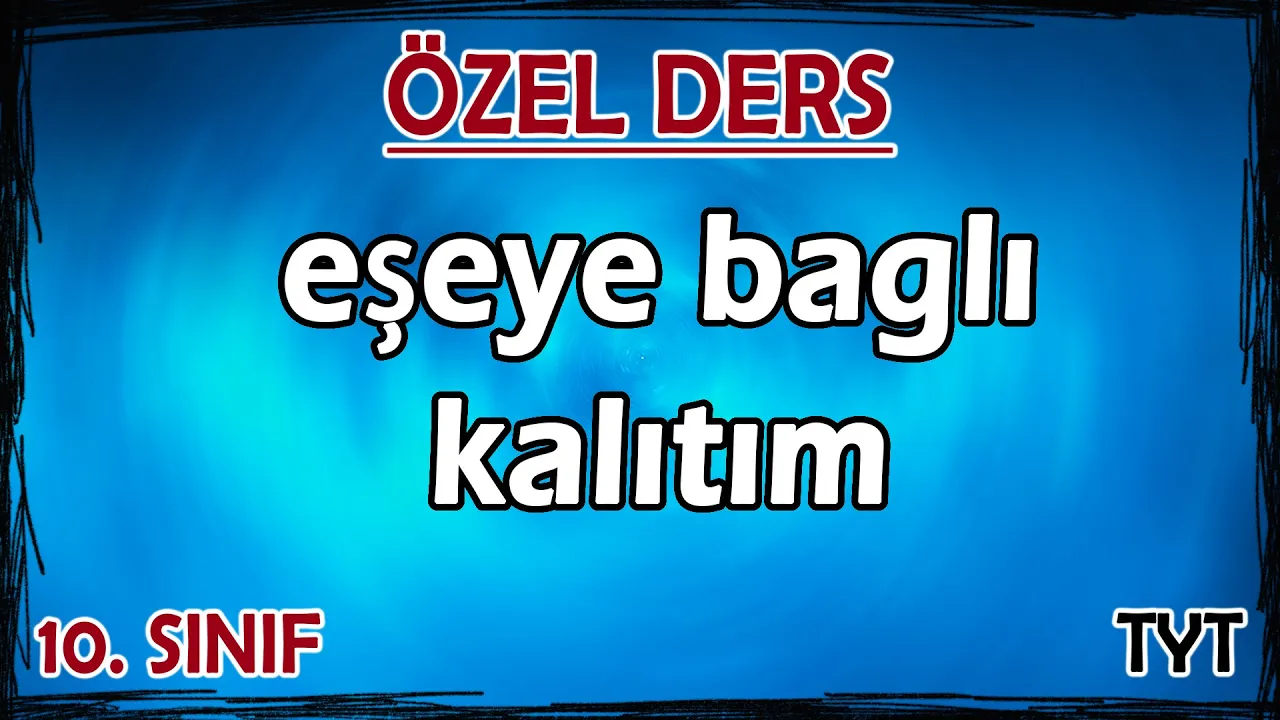 13) Eşeye Bağlı Kalıtım - Özel Ders (10. Sınıf)