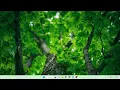 Installation OpenGL Python Bangla Updated