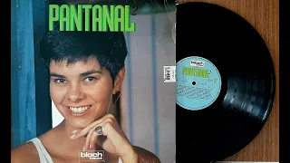 Pantanal 2 - 1990