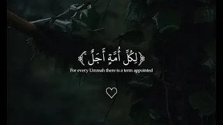 قل لا أملك لنفسي ضرا ولا نفعا إلا ما شاء الله عبدالرحمن مسعد    دندنها