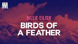 Billie Eilish Birds Of A Feather Letra Lyrics 