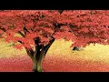 Kenny G - Songbird