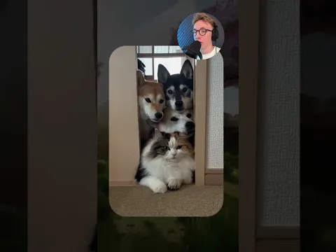 ВИРУСНЫЕ ВИДЕО / Самый странный кот 🧐