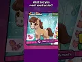 Download Lagu Paardenmaker!!!!!