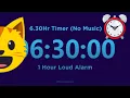 6 Hour 30 minute Timer 1 Hour Loud Alarm