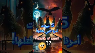 5 حيوانات أمرنا النبي ﷺ بقتلها السبب قد يفاجئك حكم قتل الفواسق في الإسلام قصص Shorts اكسبلور 