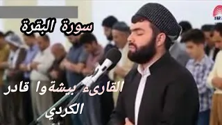 سورة البقرة كاملة القارىء بيشةوا قادر الكردي بدون إعلانات سورة البقرة  سورة البقرة كاملة القارىء بيشةوا قادر الكردي بدون إعلانات سورة البقرة