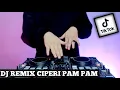 Download Lagu DJ CIPERI PAM PAM MAIMUNAH REMIX FULL BASS TIK TOK VIRAL TERBARU 2022