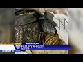 Tehama County probation officers arrest person while out conducting compliance checks