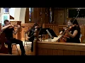 San Antonio - Austin wedding and event music, Viva la Vida, Coldplay, String Quartet
