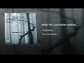 While The Cold Winter Waiting - Trentemøller