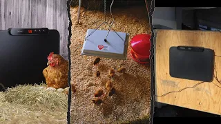 7 Best Safe Chicken Coop Heaters for Winter 2026 Tested and Tried
