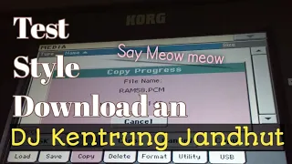 Download Say Meow Meow || Test Style DJ kentrung Jandhut KORG PA 600 MP3