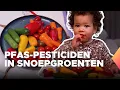 Lagu Zijn snoepgroenten wel zo veilig voor jonge kinderen?