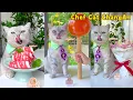 Chef Cat's Super Delicious Recipes Satisfy Your Imagination😻🍹| Cat Cooking Food | Cute And Funny Cat