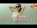 Download Lagu Vita Alvia - DJ SIKOK BAGI DUO Karaoke