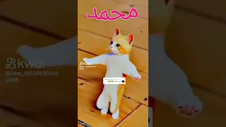 اغنية انا احب  محمد ومحمد يحبني دندنها
