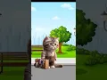 Download Lagu aku tidak punya siapa-siapa #cat #funny