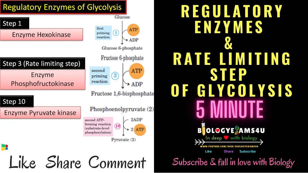Regulatory Enzymes and Rate Limiting Step of Glycolysis || 5 Minutes||