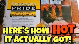 Unboxing Test and Initial Impression PRODUCERS PRIDE Chicken Coop Heater and Brooder Plate