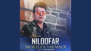 تقدیم به عاشقان دندنها