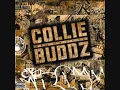 Collie Buddz - Tomorrows Another Day