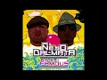 Ñejo & Dalmata - No Quiere Novio (Visualizer) - Ñejo & Dalmata