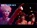 Big Spender Sweet Charity 1969 Screen Bites - Musicals