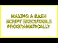Ubuntu making a bash script executable programatically 2 Solutions