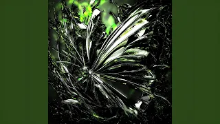 HIMXN EVO OUTSIDE PR FUNK 