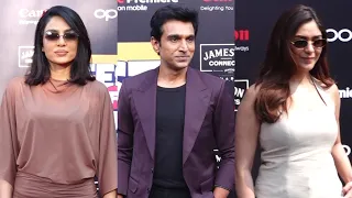Icons of Creativity Shine Bright at IFP Season 16