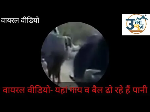 वायरल वीडियो- water problem- ग्रामीणों ने निकाली अनूठी राह, सिस्टम तक पहुंचनी है यह पुकार uttranwws