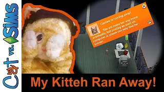 I LOST MY KITTY CUZ I WAS A JURK Let s Play Loki s Story Sims 4 Gameplay S1E37