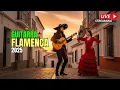 Download Lagu Top Spanish Guitar \u0026 Flamenco Instrumental – Pasión y Romance en Cuerdas Españolas ❤️🎸