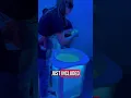 Visiting The Slime Lab Co in Oxford CT