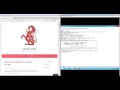 Windows live debugging using Windbg and Qemu