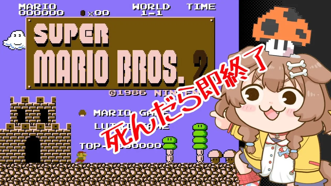 スーパーマリオブラザーズ2、しんだら即終了！！リベンジ！！！