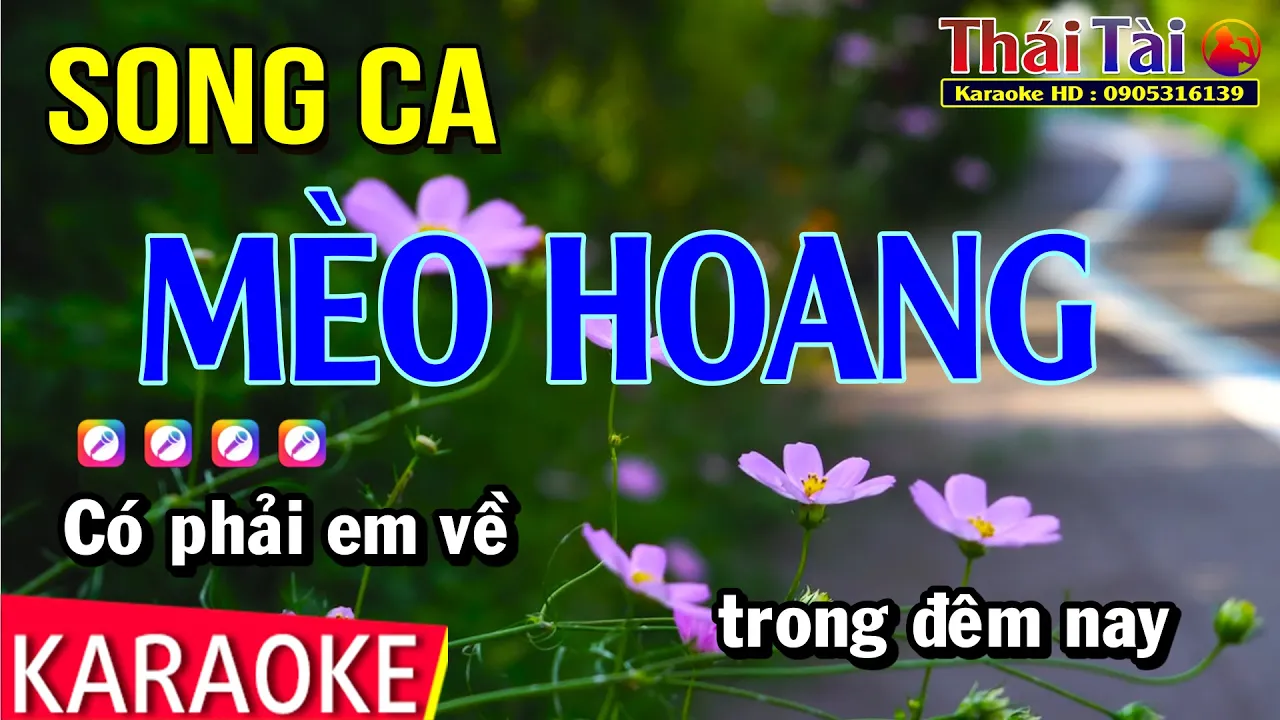 Karaoke Mèo Hoang Song Ca - Thái Tài